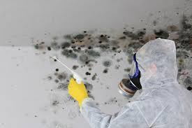 Best Asbestos and Lead Testing During Mold Inspection  in Florence, CO